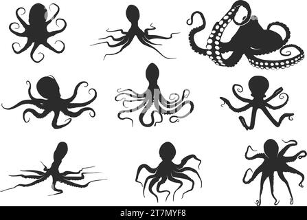 Silhouette Octopus, vecteur Octopus, silhouettes Octopus, Clipart Octopus, jeu d'icônes Octopus Illustration de Vecteur