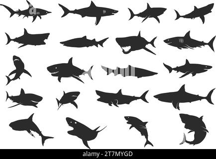 Silhouette de requin, silhouettes de requin, jeu d'icônes de requin, clipart de requin, illustration vectorielle de requin Illustration de Vecteur