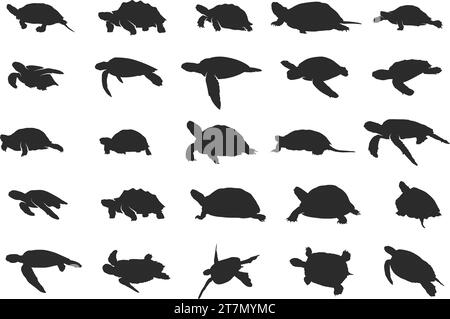 Silhouette de tortue, silhouettes de tortue de mer, ensemble d'icônes de tortue, clipart de tortue, ensemble d'animaux sous-marins. Illustration de Vecteur