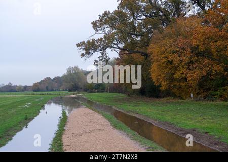 Englefield Green, Royaume-Uni. 16 novembre 2023. Après de fortes pluies récentes, le nouveau sentier du National Trust vers le mémorial de la Magna Carta à Englefield Green, Surrey, a été partiellement inondé aujourd'hui. Crédit : Maureen McLean/Alamy Live News Banque D'Images