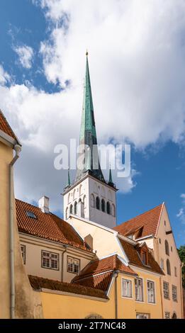 Tour de l'église St OLAF derrière des bâtiments traditionnels dans la vieille ville de Tallinn, Estonie. Banque D'Images