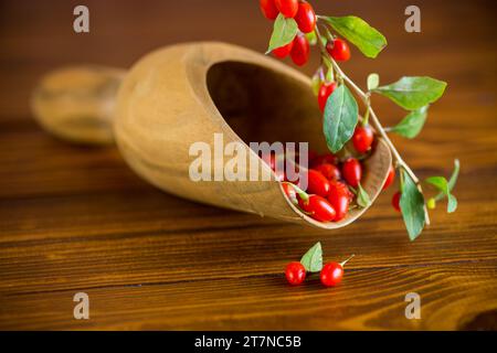 Branche avec baie de goji rouge mûre sur une table en bois brun Banque D'Images