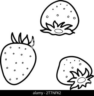 Icônes vectorielles fraise vue de dessus et de côté. Croquis de baies de jardin. Illustration dessinée à la main isolée sur fond blanc. Graphique linéaire pour site Web Illustration de Vecteur