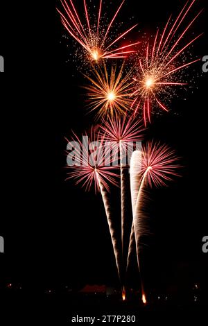 Rouge coloré, blanc, bleu, rose et vert feux d'artifice aériens et terrestres explosent dans le ciel nocturne, Banque D'Images