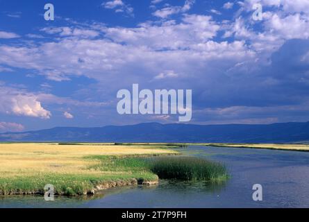 Ana River, Summer Lake Wildlife Area, Oregon Banque D'Images