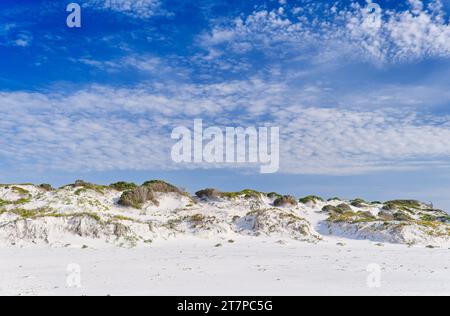 Dunes de sable blanc sous un nuage léger dans le ciel bleu sur Mamang Trail à point Ann, Fitzgerald River National Park, Australie occidentale, Australie Banque D'Images