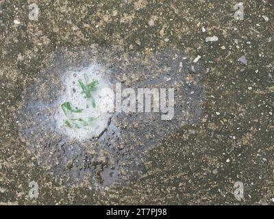 Feuilles d'herbe verte dans la mousse blanche des tas de vomi de chien sur le sol en béton Banque D'Images