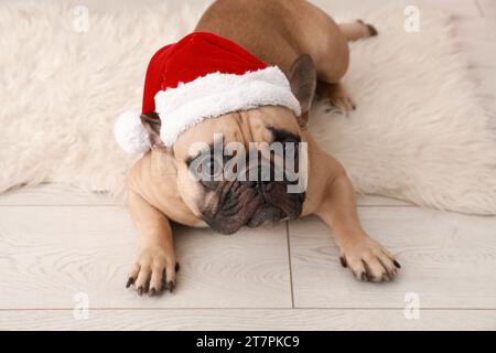 Adorable boudogue à la française dans un chapeau de père Noël à la maison Banque D'Images