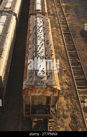 Gare de triage, port de Veracruz, Mexique, transportant des marchandises du monde entier jusqu'aux États-Unis, 2022 Banque D'Images