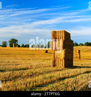 Temps de récolte, champ avec des balles de paille, champ de chaume sous ciel bleu avec des nuages en été, Maerkische Schweiz, Brandebourg, Allemagne Banque D'Images