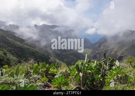 Nuages bas dans les montagnes Teno près du village de Masca, Tenerife, îles Canaries, Espagne Banque D'Images