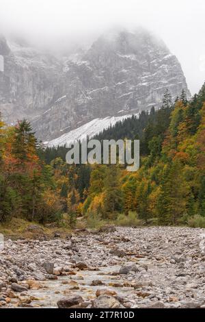 Brouillard dans le parc naturel de Karwendel, neige sur la chaîne de montagnes Hinterautal-Vomper, vallée étroite avec ruisseau Enger Grundbach, érable sycomore (Acer Banque D'Images