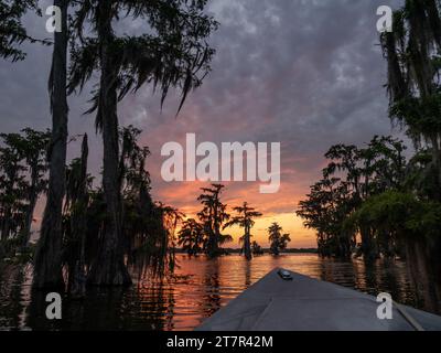 Cyprès chauves dans le lac Martin, un marais de Bayou de Louisana avec une coque de bateau au premier plan. Photographié avec un coucher de soleil dramatique en arrière-plan. Banque D'Images