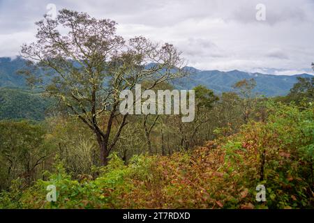 Blue Ridge Parkway, célèbre route reliant le parc national de Shenandoah au parc national des Great Smoky Mountains Banque D'Images