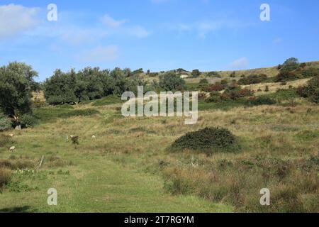 Sentier pédestre et vue sur les roughs et miroir sonore du canal militaire royal près de Palmarsh, Hythe, Kent, Angleterre, Royaume-Uni Banque D'Images