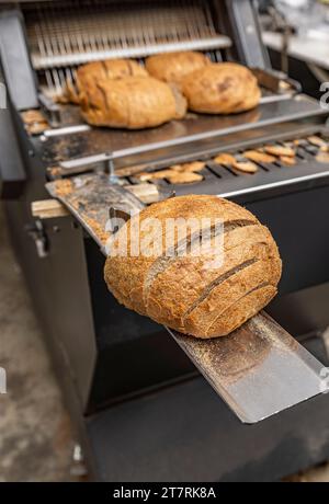 Trancheur à pain dans l'alimentation de la machine et ligne de production bekery Banque D'Images