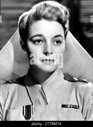 PATRICIA NEAL Portrait in THE HASTY HEART 1949 réalisateur VINCENT SHERMAN play John Patrick scénario Ranald MacDougall Associated British Picture Corporation (ABPC) / Warner Bros. Banque D'Images