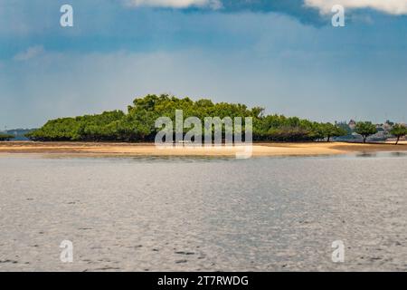 Une petite île couverte par la forêt de mangroves près de Shela Beach à Lamu, au Kenya Banque D'Images