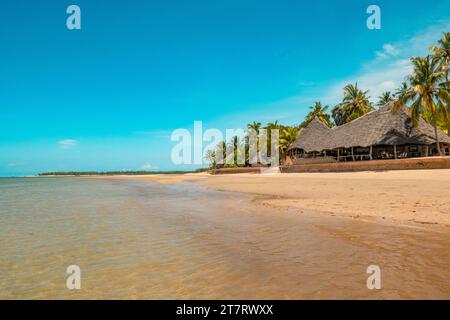 Vue de Manda Bay Lodge à Manda Isalnd, Lamu Kenya Banque D'Images