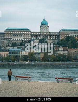 Vue sur le Danube et le château de Buda, Budapest, Hongrie Banque D'Images