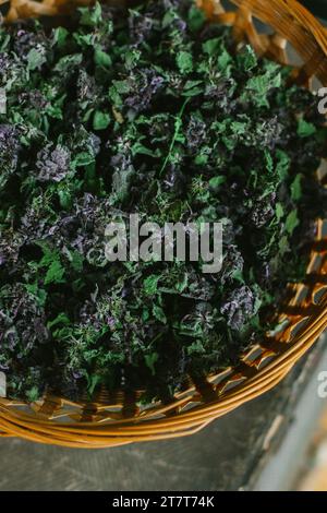 Dead Purple Orttle Herb dans un panier Banque D'Images