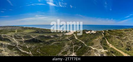 Dunes sur Holmsland Klit près de Hvide Sande, Danemark. Banque D'Images