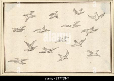 Albert Flamen Fiche d'étude avec quatorze oiseaux volants (V-27). FEDER en gris et brun, gris lavé. Banque D'Images