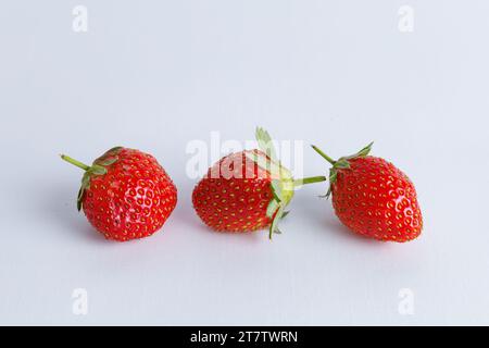 Trois fraises de déchirure se ferment sur fond blanc Banque D'Images