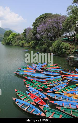 Scène printanière au lac Fewa, Pokhara. 07 Mai 2018. Banque D'Images