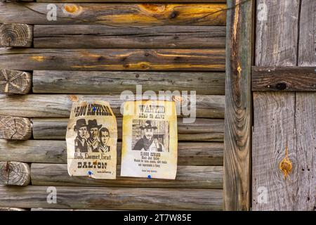 Exposition touristique Gunfight à Burnet, Texas, une attraction pour les touristes qui montent le train touristique « Hill Country Flyer » de Cedar Park, Texas à Bur Banque D'Images