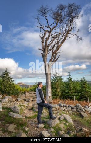 Hommes adultes debout sur un rocher à côté d'un grand arbre Wither et regardant la vue, Sugarloaf Mountain en arrière-plan. Randonnée dans les montagnes de Wicklow, Irlande Banque D'Images