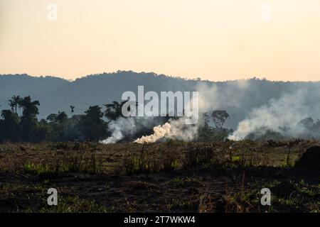 Arbres de forêt tropicale amazonienne sur le feu avec la fumée dans la déforestation illégale à la zone ouverte pour l'agriculture agricole . Concept de co2, environnement, écologie, climat Banque D'Images