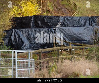 Hyde Heath, Royaume-Uni. 17 novembre 2023. Un gouffre géant HS2 est apparu dans le sol sur des terres agricoles et sous un sentier public / passerelle à Hyde Heath, Buckinghamshire. Le gouffre est au-dessus de l'endroit où HS2 creusent des tunnels pour le chemin de fer High Speed Rail 2. Le gouffre a maintenant été recouvert de plastique noir et est surveillé par HS2. Heureusement, personne n'a été blessé quand cela s'est produit. Un autre gouffre est apparu à Shardeloes près d'Amersham plus tôt cette année qui a maintenant été rempli par HS2. Crédit : Buckctrypics/Alamy Live News Banque D'Images