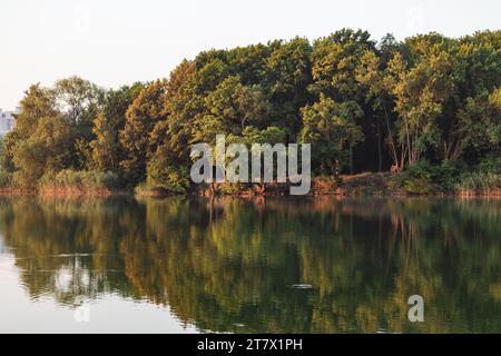 Lever de soleil calme, aube sur la rivière avec reflet de la forêt sur l'eau miroir. Arbres et roseaux dans la chaleur du soleil, la nature Banque D'Images