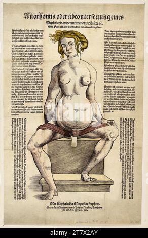 Heinrich Vogtherr d. Ä. Représentation anatomique du corps féminin. Gravure sur bois, partiellement colorée 1538, 1538 Banque D'Images