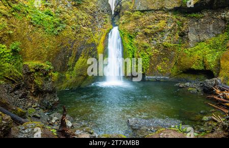 Wahclella Falls et Tanner Creek, Columbia River gorge, Oregon, États-Unis Banque D'Images