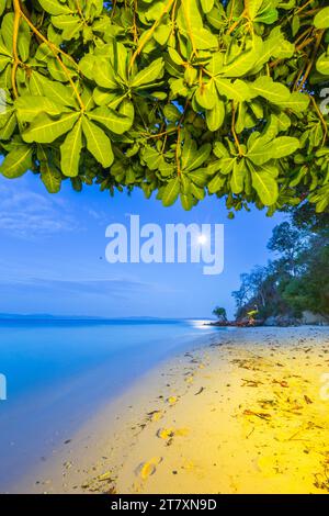 Pleine lune à Murex Bangka Dive Resort, île de Bangka, près de Manado Sulawesi, Indonésie, Asie du Sud-est, Asie Banque D'Images