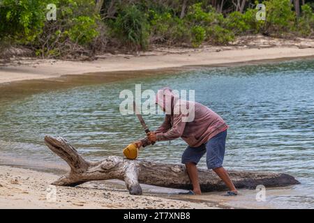 Homme local coupant une noix de coco dans les petits îlots du port naturel protégé de Wayag Bay, Raja Ampat, Indonésie, Asie du Sud-est, Asie Banque D'Images