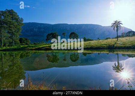 Arbres se reflétant dans un étang, Serra da Canastra, état de Minas Gerais, Brésil, Amérique du Sud Banque D'Images