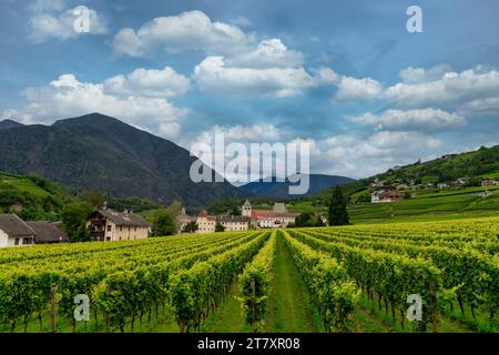 Vignoble autour du couvent Neustift, en été. Couvent de Neustift, Brixen, Tyrol du Sud, Italie, Europe Banque D'Images