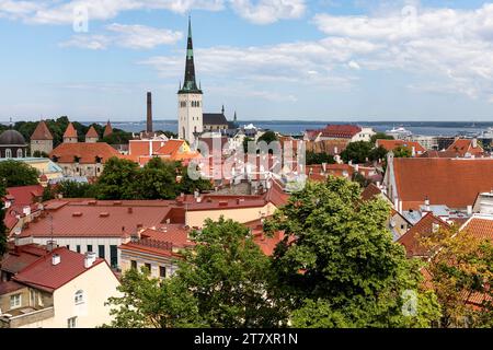 Vue spectaculaire d'un point de vue dans le centre de Tallinn vers la vieille partie de la ville sur une journée ensoleillée d'été, plein de vieux bâtiments historiques, Estonie Banque D'Images