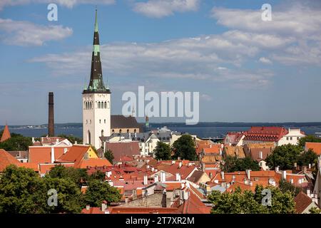 Vue spectaculaire d'un point de vue dans le centre de Tallinn vers la vieille partie de la ville sur une journée ensoleillée d'été, plein de vieux bâtiments historiques, Estonie Banque D'Images