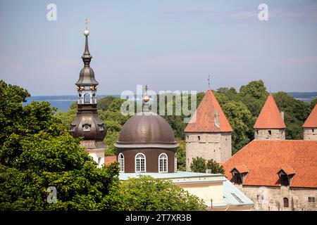 Vue spectaculaire d'un point de vue dans le centre de Tallinn vers la vieille partie de la ville sur une journée ensoleillée d'été, plein de vieux bâtiments historiques, Estonie Banque D'Images