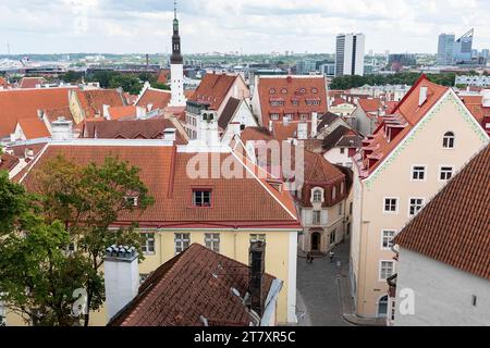 Vue spectaculaire d'un point de vue dans le centre de Tallinn vers la vieille partie de la ville sur une journée ensoleillée d'été, plein de vieux bâtiments historiques, Estonie Banque D'Images