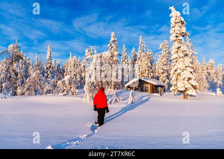 Personne se tient devant une cabane de montagne isolée parmi les arbres couverts de neige, Laponie suédoise, Norrbotten, Suède, Scandinavie, Europe Banque D'Images