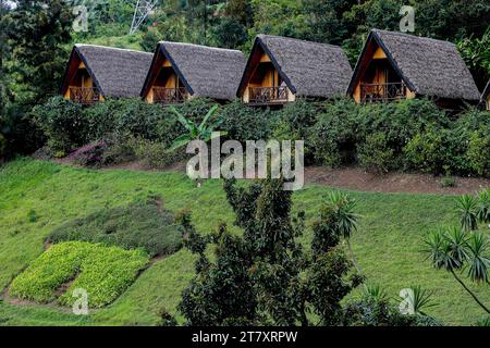 Hôtel bungalows, Karongi, Rwanda, Afrique Banque D'Images