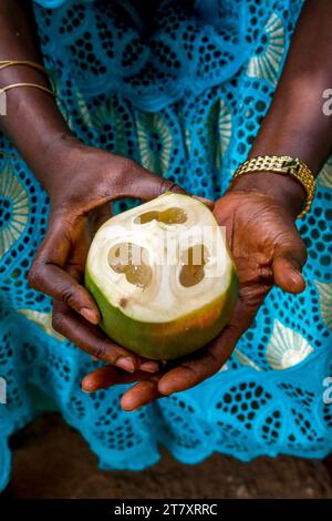 Femme tenant des fruits de palmier palmyre à Thiaoune, Sénégal, Afrique de l'Ouest, Afrique Banque D'Images