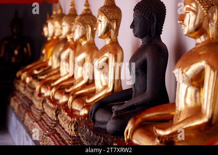 Rangée de statues de Bouddha dorées, geste témoin de la terre, Wat Pho (Temple du Bouddha couché), Bangkok, Thaïlande, Asie du Sud-est, Asie Banque D'Images