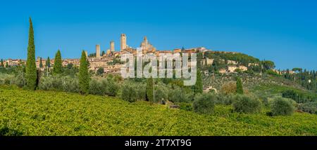Vue sur les vignobles et San Gimignano, San Gimignano, province de Sienne, Toscane, Italie, Europe Banque D'Images