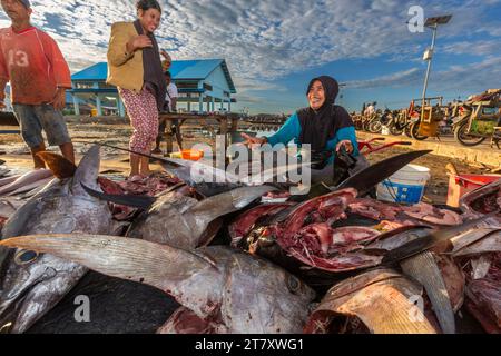 Vendeurs vendant du poisson frais au marché aux poissons de Sorong, la plus grande ville de la province indonésienne du sud-ouest de la Papouasie, Indonésie, Asie du sud-est Banque D'Images